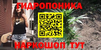 дживик Анапа