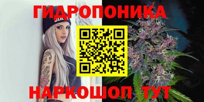 jwh Ачхой-Мартан