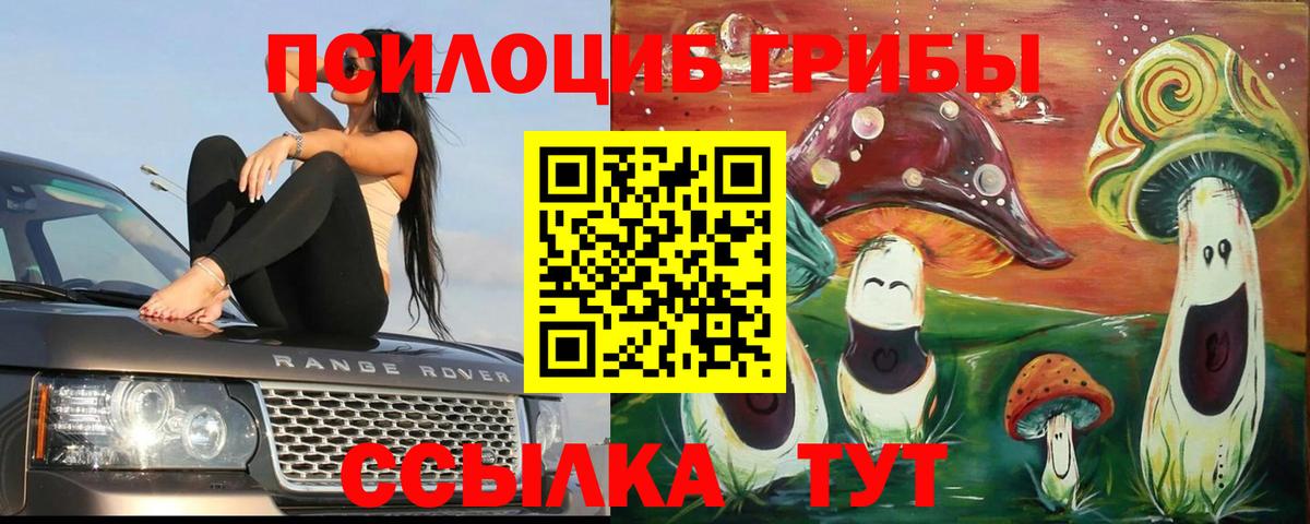 Нижневартовск  Псилоцибиновые грибы ЛСД  как найти наркотики  Вход с VPN 