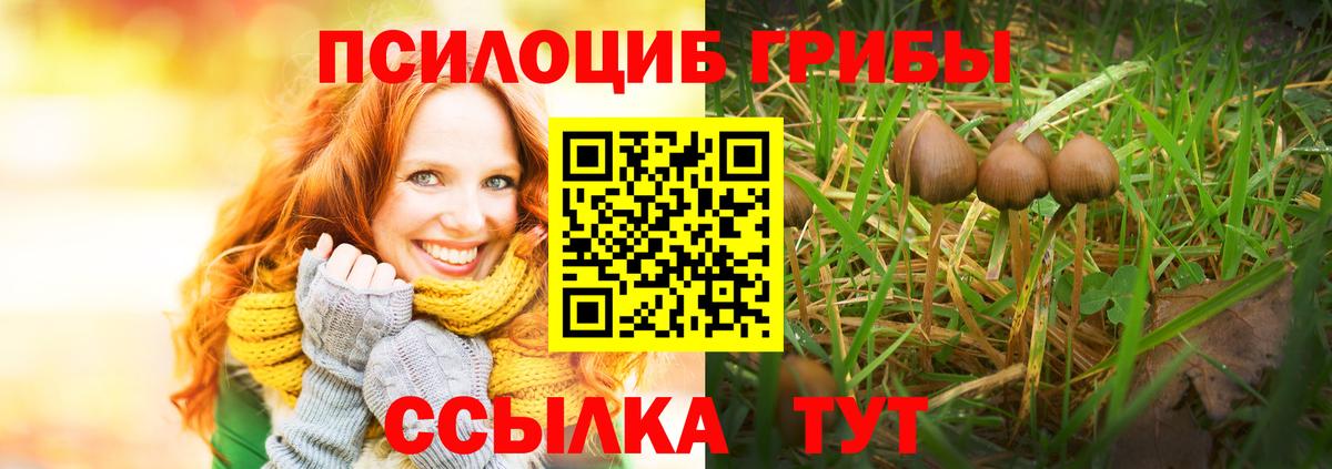 Псилоцибиновые грибы Psilocybe Нижневартовск